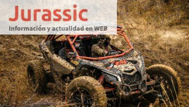 Rally Race buggy
