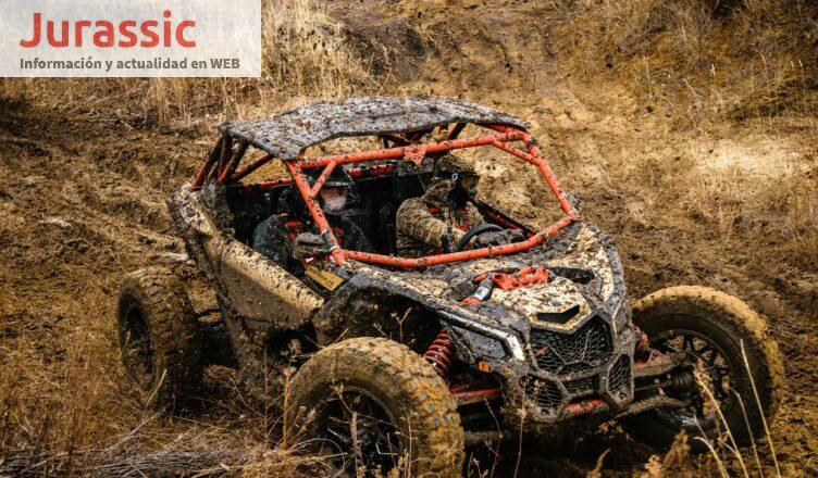 Rally Race buggy