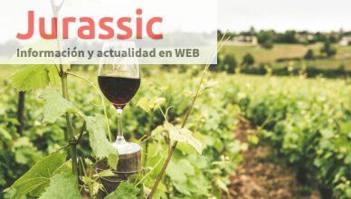 regalar cata de vinos