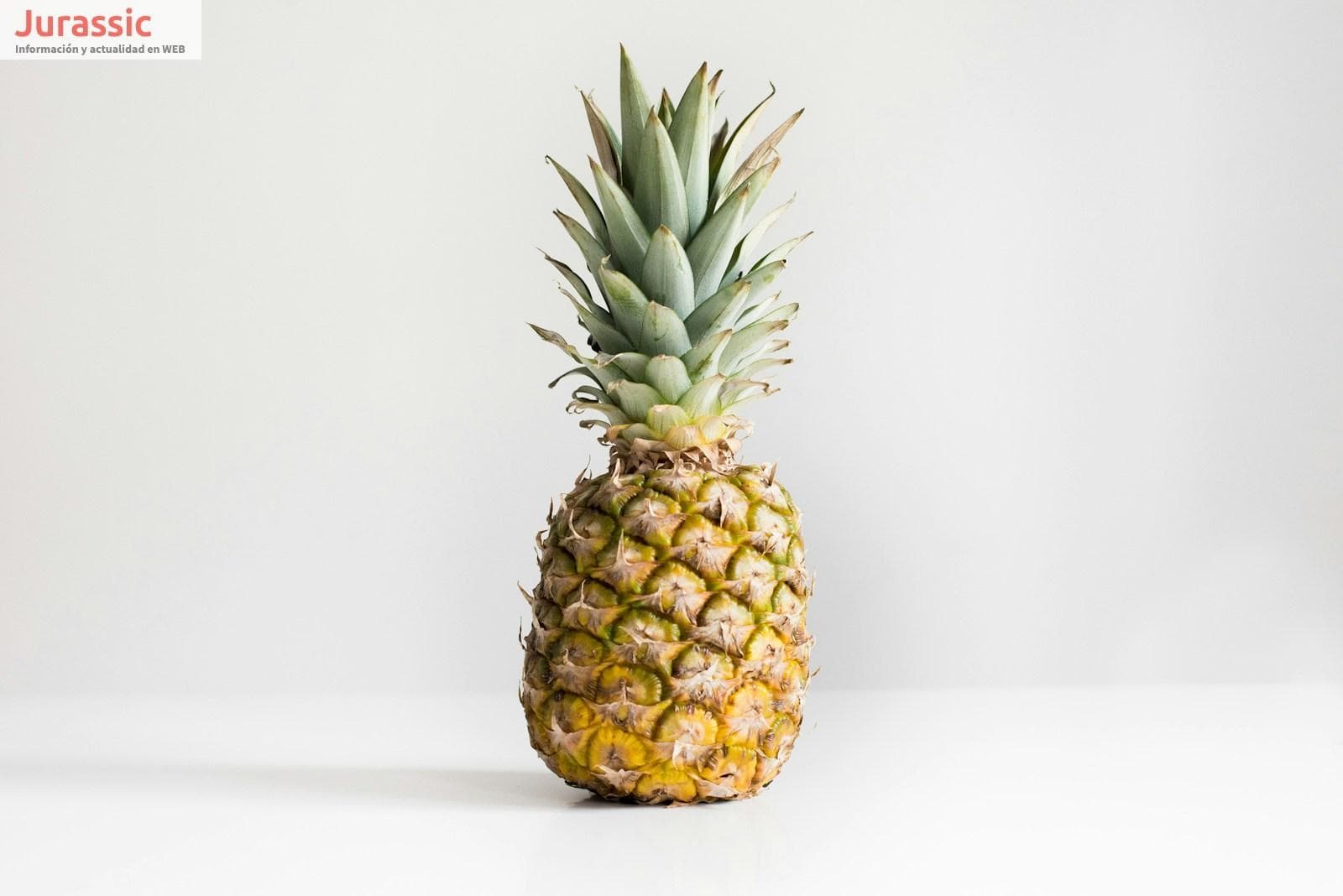 Alimentos refrescantes que te ayudarán a combatir el calor